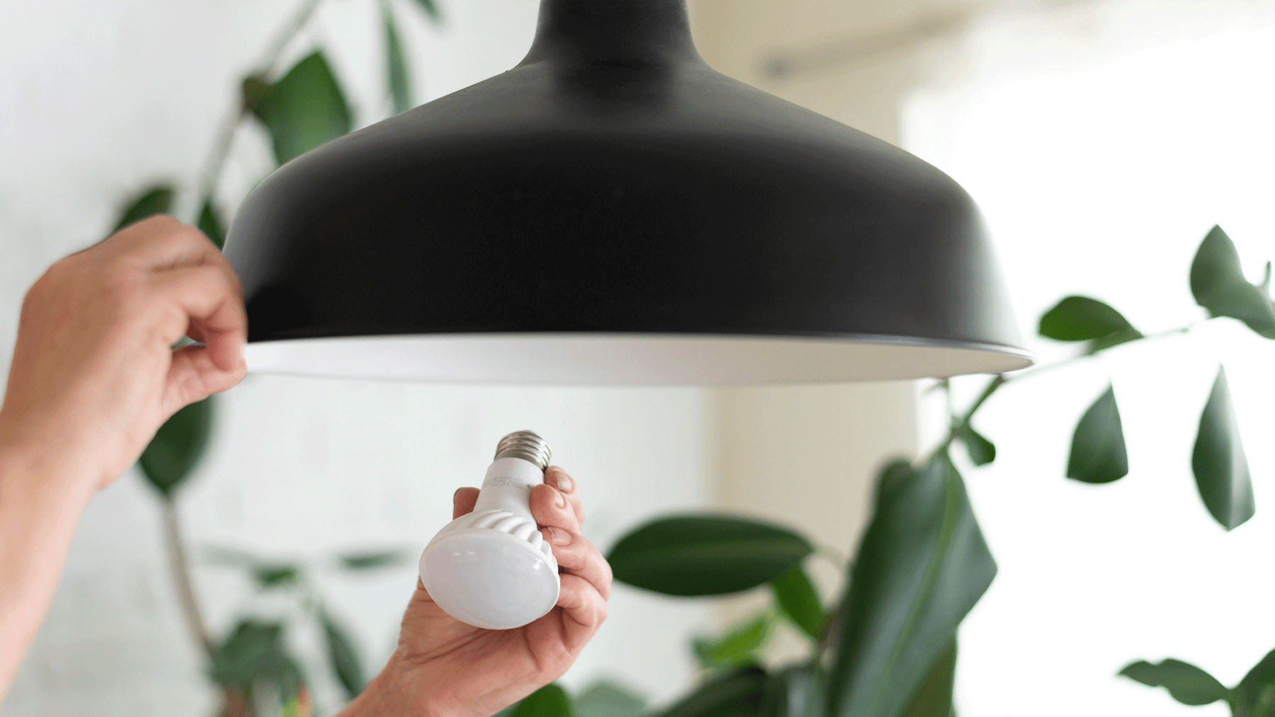 Tienda de productos ecológicos para iluminación